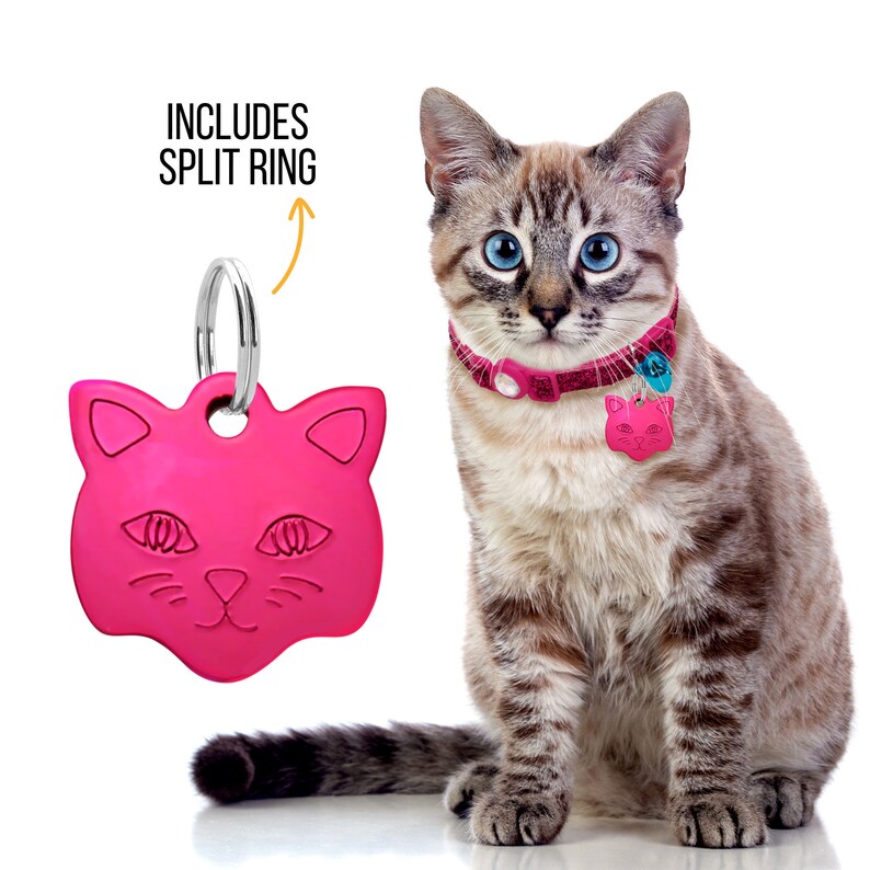 Custom Engraved Cute Cat ID Tag Small Kittens ID Tag Etsy
