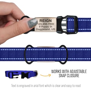 May include: A blue dog collar with a silver engraved tag that reads "REIGN 123-456-7890 9 Puppy St Doggieland, US". The collar has a snap closure and is adjustable.
