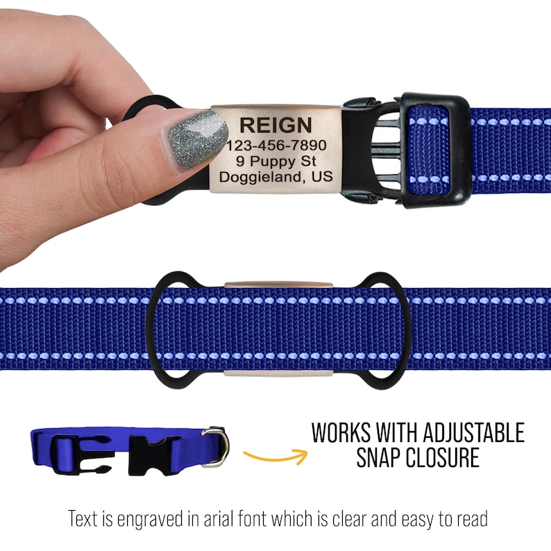 May include: A blue dog collar with a silver engraved tag that reads "REIGN 123-456-7890 9 Puppy St Doggieland, US". The collar has a snap closure and is adjustable.