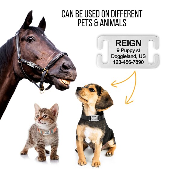 EUSFIYY Collare Di Cane Personalizzato Piccolo Grande - Foto 2