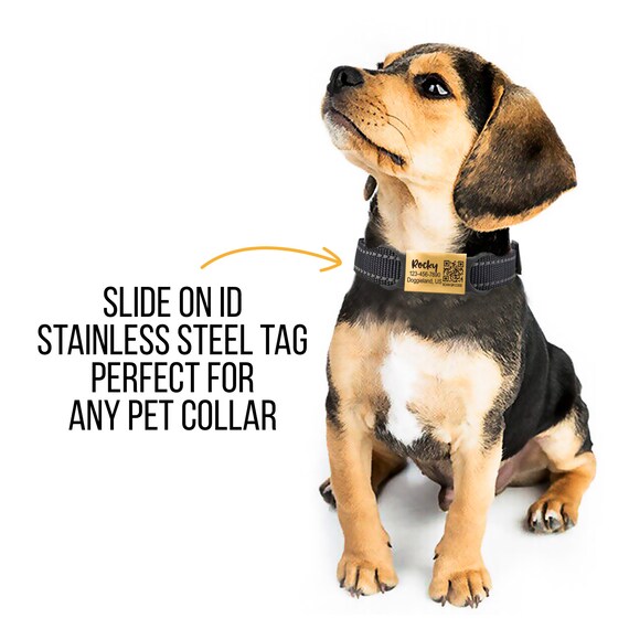 Newtensina Dog Harness Set With Bow Tie - Reflective Collar & Leash Combo