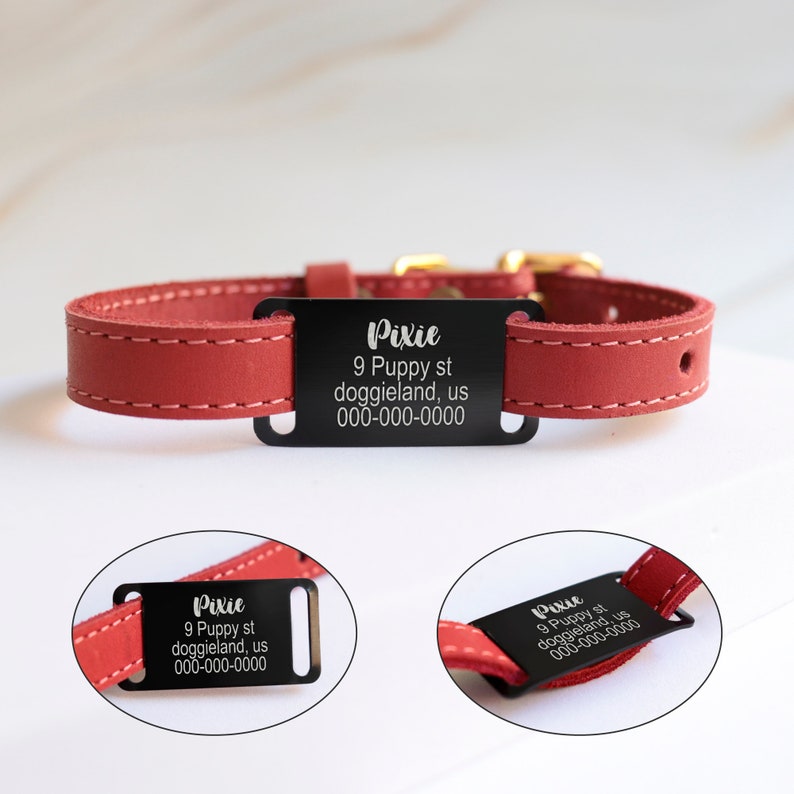 May include: Red leather dog collar with a black metal tag engraved with the name "Pixie", address "9 Puppy st doggieland, us", and phone number "000-000-0000".