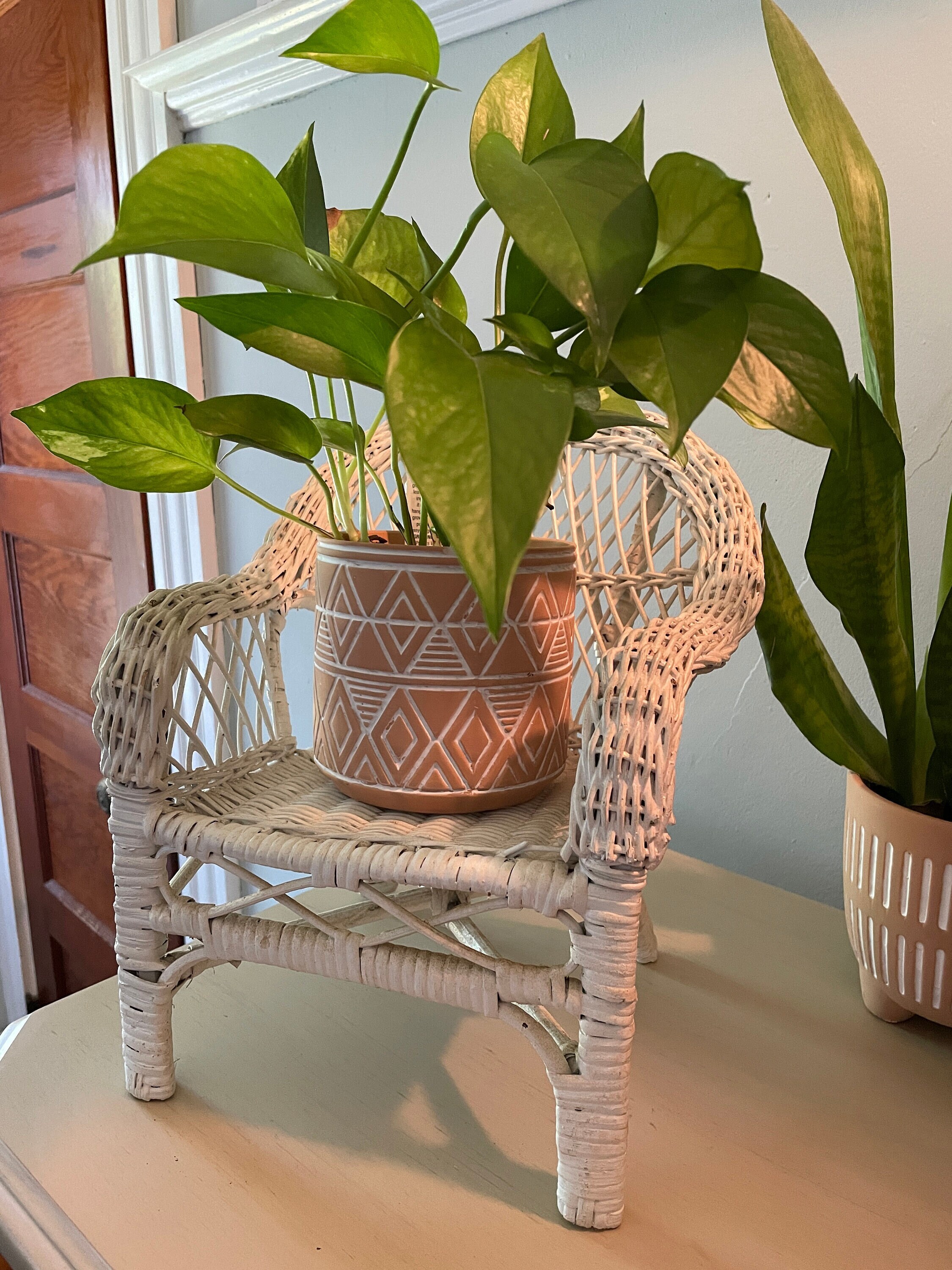 plants chair ビンテージチェア　icca Vintage Mini White Wicker Chair Plant Stand Cottage Core Grandma