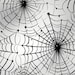 Digital Download - Seamless Pattern; Spider Webs - Etsy