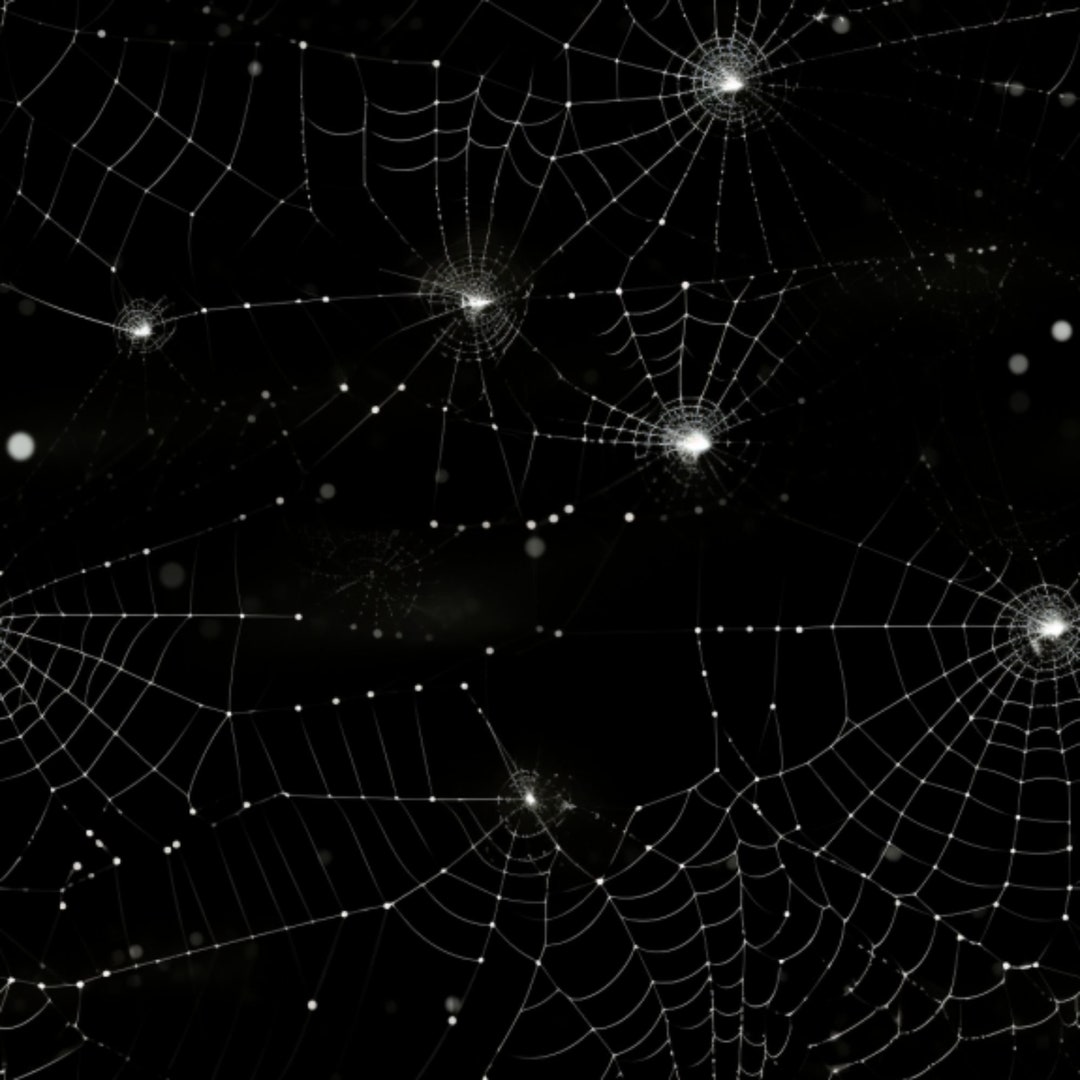 Digital Download - Seamless Pattern; Spider Webs - Etsy