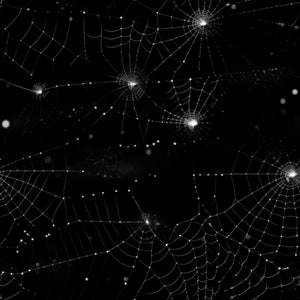 Digital Download - Seamless pattern; Spider Webs