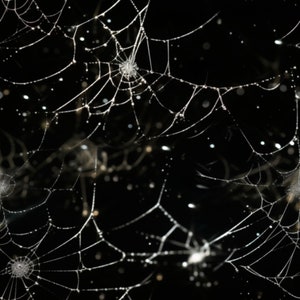 Digital Download - Seamless pattern; Spider Webs