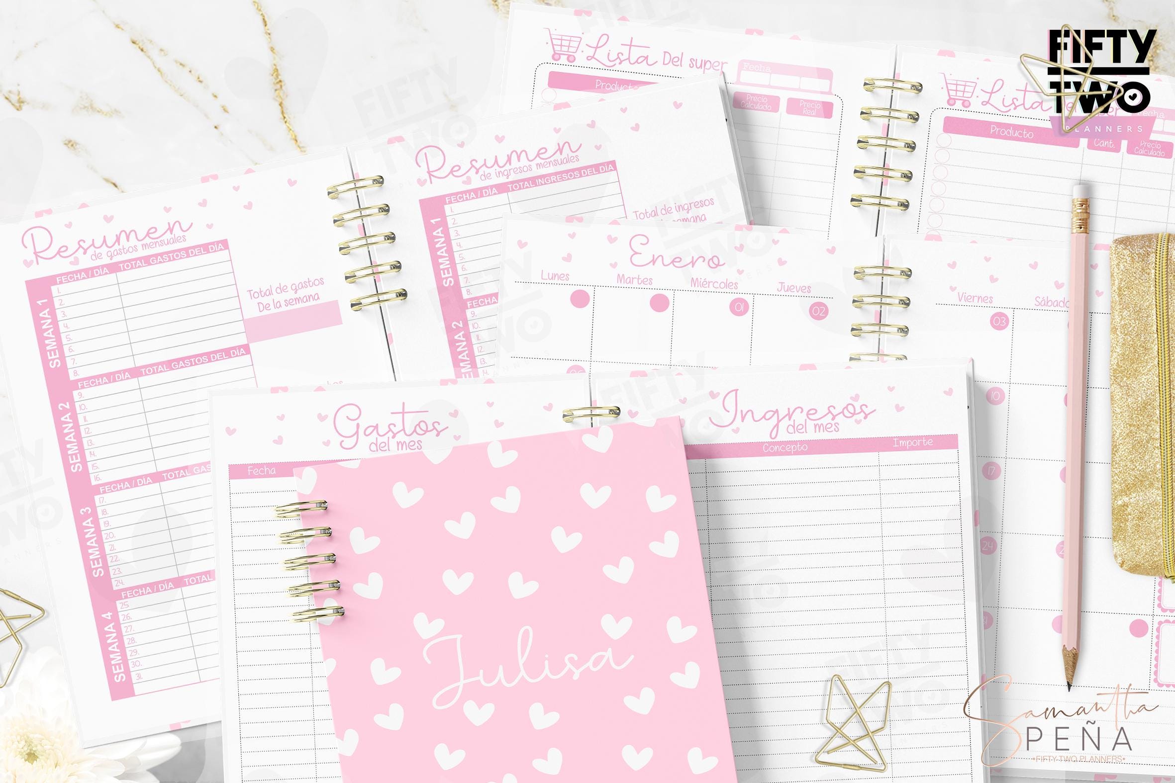 Expense organizer 2025 / half letter / organigastos 2025 / printable expense organizer - Download in PDF