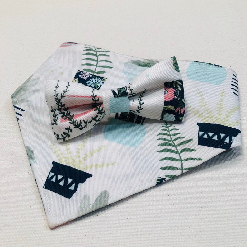 Spring Succulent Bandana /& Bow Tie Set