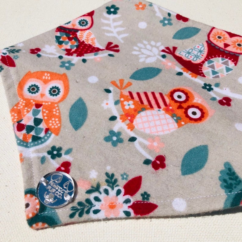 Spring Succulent Bandana /& Bow Tie Set