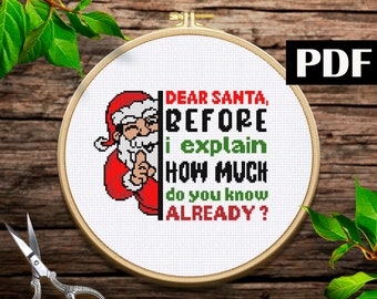 Dear Santa before i explain how much do you know already cross stitch pattern Christmas Nativity Funny xmas pattern PDF Christmas pattern