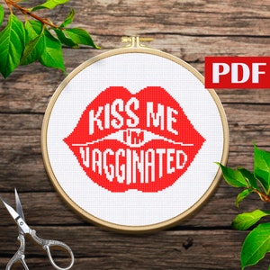 Kiss me im vaccinated cross stitch pattern Covid vaccine Vaccination PDF Embroidery medicine pattern Funny sayings pattern Modern pattern