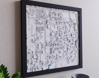 Davis, California 3D College Campus Map | Personalized College Graduation Gift | University in Davis California 2023 Grad Gift | UC Davis