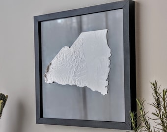 South Carolina 3D Topographic Map | 3D State Map of South Carolina Wall Art | 3D Printed Relief State Map | Office Wall Art South Carolina