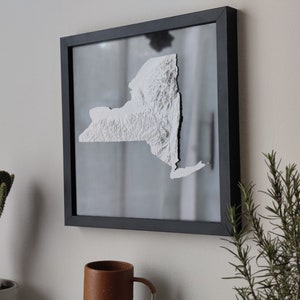 New York 3D Topographic Map | 3D State Map of New York Wall Art | 3D Printed Relief State Map | Office Wall Art for New York Residents | NY