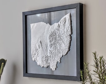 Ohio 3D Topographic Map | 3D State Map of Ohio Wall Art | 3D Printed Relief State Map | Office Wall Art for Ohio Residents | OH