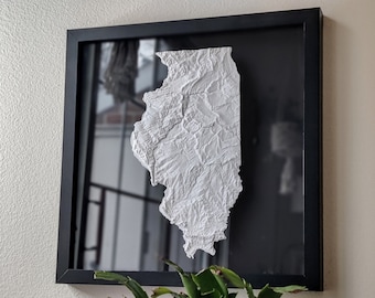 Illinois 3D Topographic Map | 3D State Illinois Wall Art | 3D Print Relief State Map | Office Wall Art for Illinois Residents | IL | Terrain