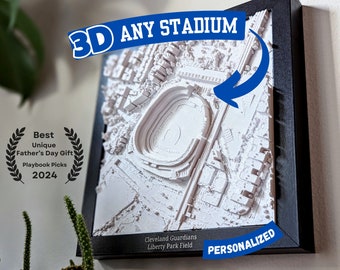 3D Stadium | Any Field | Father's Day Personalized Gift | Custom Field Football Gift for Him | Baseball Dad Soccer Basketball Hockey Fan