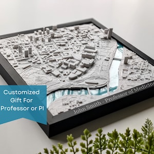 May include: A white 3D printed cityscape model in a black frame. The model is of a city with a river running through it. The frame has a black plaque with the text "John Smith - Professor of Medicine" and the words "Customized Gift For Professor or PI".