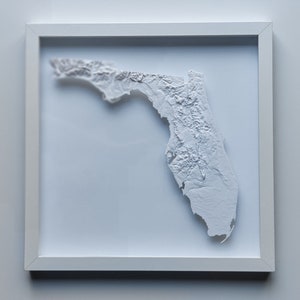 Florida 3D Topographic Map 3D - Il 300x300.5597993481 Bqmz 