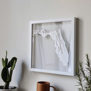 Florida 3D Topographic Map 3D - Il 300x300.5549875490 Ksvm 