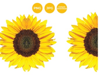 Download Free Sunflowers Jpg Etsy PSD Mockup Template