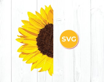 Free Free 297 Transparent Background Realistic Sunflower Svg SVG PNG EPS DXF File