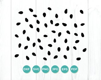 Download Watermelon Seeds Svg Etsy