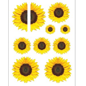 Sunflowers, Large Sunflower, Half Sunflower, Waterslide, Decal, Clipart, Transfer Image, Tumbler waterslide, Full Sheet, High Resolution