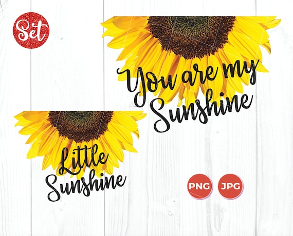 You Are My Sunshine, Little Sunshine PNG, Matching Sunflower for Tumblers, Half Sunflower, Sunflower for Tumbler, Transparent Background