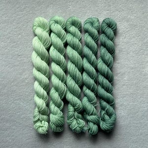 May include: Five twisted hanks of yarn arranged in a vertical row, displaying a gradient of green shades ranging from a pale, light mint green on the left to a deep, muted forest green on the right, with each skein featuring a consistent texture.