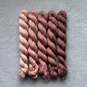 May include: Five twisted skeins of yarn arranged in a vertical row, displaying a gradient of colors ranging from a light, pale dusty pink on the left to a deep, dark brownish-maroon on the right, with each skein featuring a consistent, tightly twisted texture.