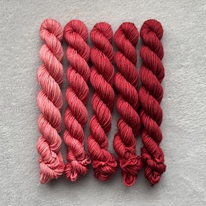 Veenbes | Vervaagset mini-streng | Handgeverfd garen - Superwash Merino - 10 of 20 g - kleurverloop