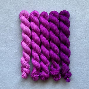 May include: Six skeins of hand-dyed yarn in a gradient of purple shades, from light pink to deep violet.
