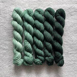 Auf Bestellung gefärbt | Mini Skein Fade Set - Fichte - 20g Mini Skeins - Handgefärbt | Handgefärbtes Garn | Farbverlauf | Superwash Merino