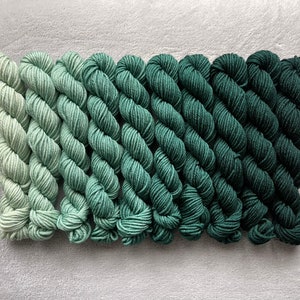 Dyed-To-Order | Mini Skein Fade Set - SPRUCE  - 20g Mini Skeins - Hand Dyed | Handdyed Yarn | Gradient | Superwash Merino