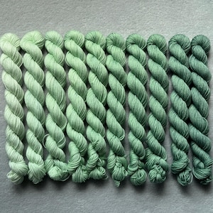 May include: Ten twisted skeins of yarn arranged in a row, showcasing a gradient of green shades. The colors transition from a pale, light mint green on the left to a deep, saturated forest green on the right, with each skein featuring a consistent twist.