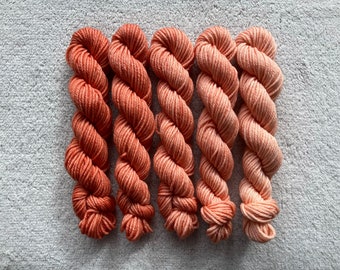 Peach | Mini Skein Fade Set | Hand Dyed Yarn - Superwash Merino - 10g or 20g - Gradient