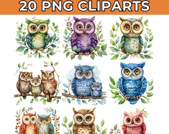 Adorable Baby Owl Clipart Bundle, 20 High-Quality PNG with Transparent Background, Vector Wall Art Download for Nursery, Bird Design
