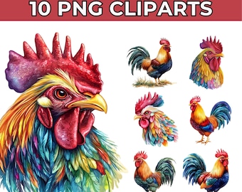 Watercolor Rooster Clipart: Colorful PNG Images (Digital Download)