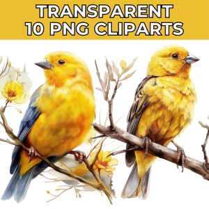 Canary Bird Clipart, Watercolor Canary Printable Watercolor Clipart, High Quality PNGs for Digital Download, Paper Craft, Junk Journals