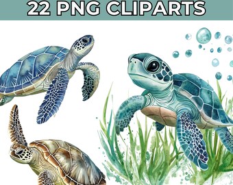 22 Turtle PNG Clipart: Sea Turtle Sublimation Art (Digital Download)