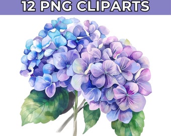 Hydrangea Watercolor Clipart | Watercolor Hydrangea Floral Clipart | Hydrangea Bouquet | Instant Download | Wedding Card | Floral Clipart