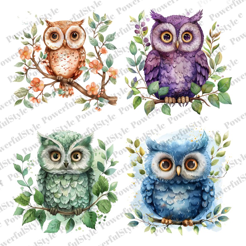 Adorable Baby Owl Clipart Bundle, 20 High-quality PNG With Transparent ...