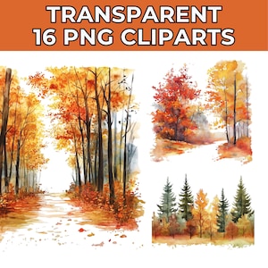 Autumn Forest Watercolor Clipart: Landscape PNG Bundle
