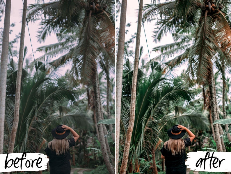 May include: A woman wearing a black hat and black shirt stands in a tropical forest with tall palm trees. The image is split into two sections, with the left side showing the original image and the right side showing the image after editing.