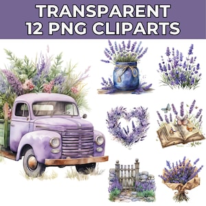 Lavender PNG Clipart Bundle: Watercolor Lavender Flowers, Floral Clip Art, Lavender Bouquets for Crafts and Designs, Lavender Cliparts