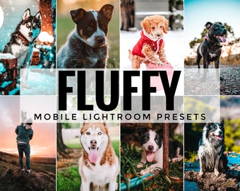 14 mobiele Lightroom-presets Pet Lovers, fotobewerkingsfilter hond kat voor Instagram, dierenpreset voor bloggers, Bright Home-filter
