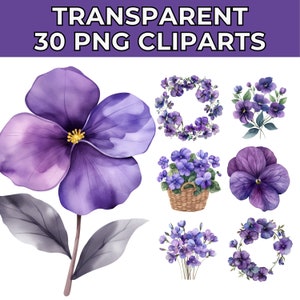 Veilchen Clipart | 30 hochwertige PNGs | Digitaler Download für die Kartenherstellung, Mixed Media und den kommerziellen Gebrauch