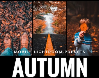 17 préréglages mobiles Lightroom d'automne, préréglages mobiles, préréglages d'automne, préréglages Instagram, préréglages Lightroom, meilleurs préréglages, retouche photo, filtre